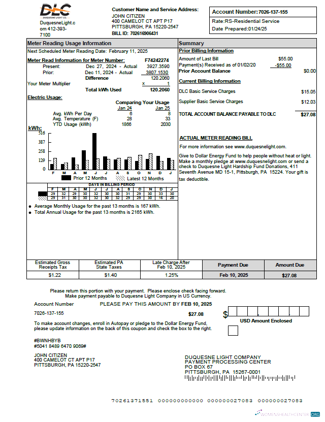 download download USA Duquesne Light Company utility bill template in Word and PDF formats PDF template PDF template